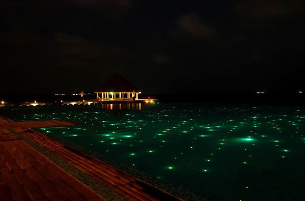 ṩ|wβˮˮչwβ