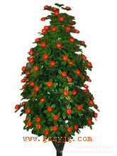 Ә SֱN Ә _Ә侰^ֱN