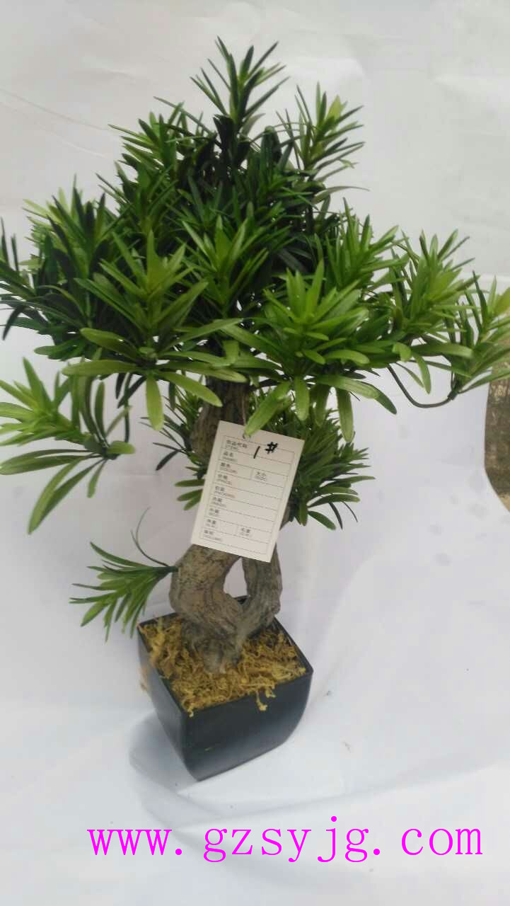 VݏSҷ_h ɘ ֲ ҃bֲ辰