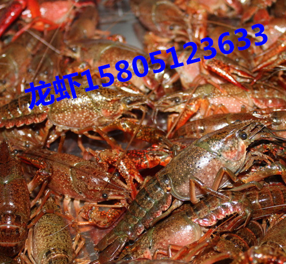 F(xin)rl(f)Xһ rl(f)