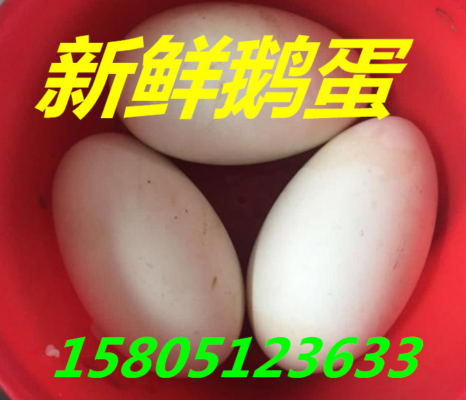 I(mi)rZ rZF(xin)ڶX(qin)һ(g)