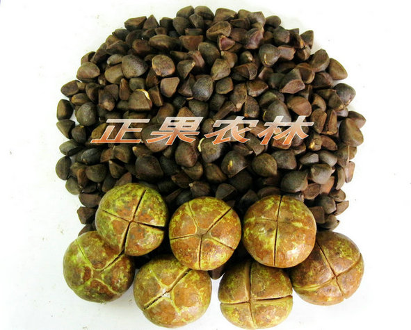 (zhun)I(y)(yng)ͲN-ڰr(nng)