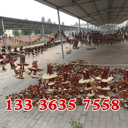 `֥辰_`֥辰Ӗ_`֥辰lr