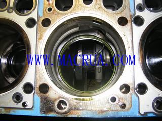 Ͼ˹Ͱl(f)늙CSޱB(yng)