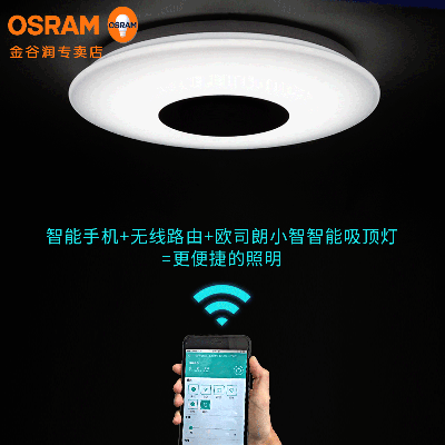 W˾ С픟31WoO{ů{ɫ