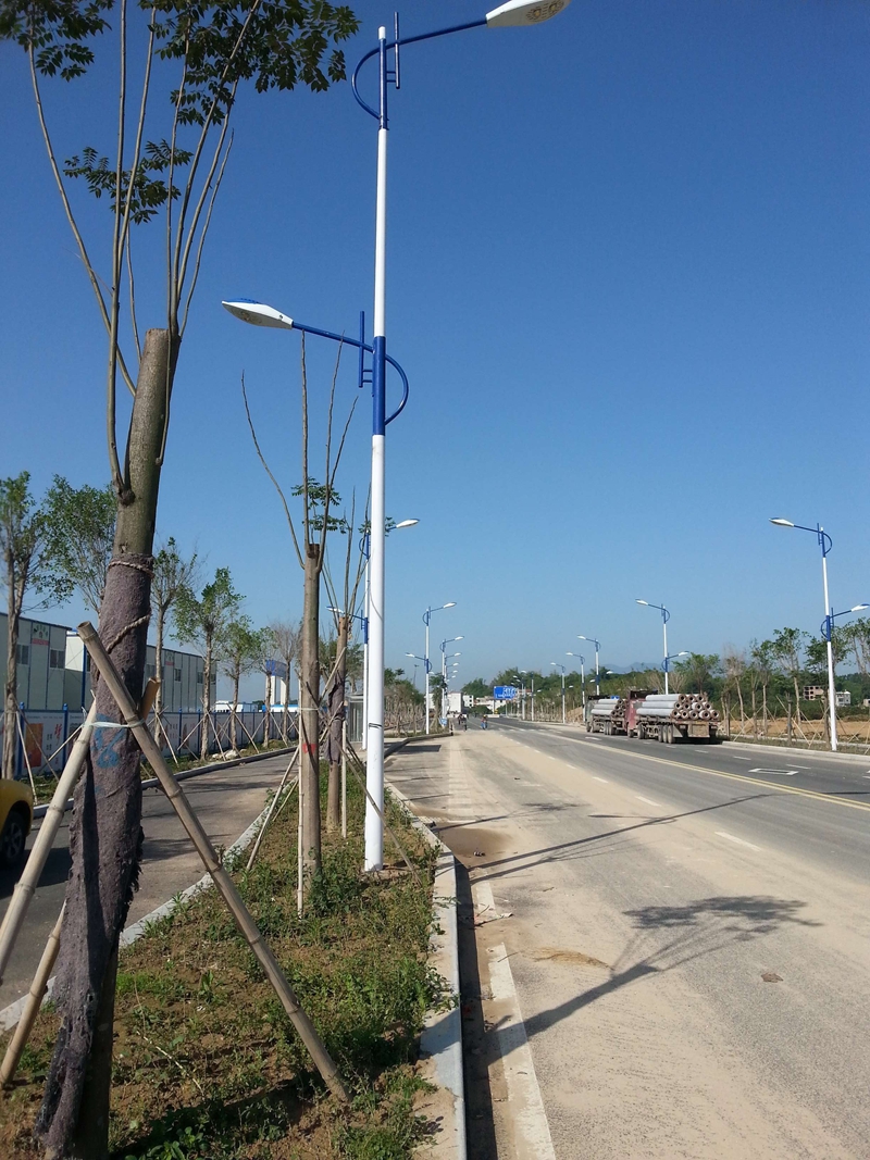 ȪݏSֱN  ȪݏSֱN12pLED· LED·