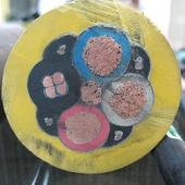 ˜MC0.38/0.66KV-3*6+1*6úCܛ|