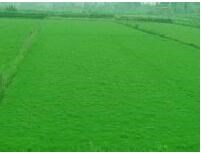 ƺr(ji)-QO(png)(sh)(sh)-l(xing)ؔ(ci)\(yn)@־G޹˾