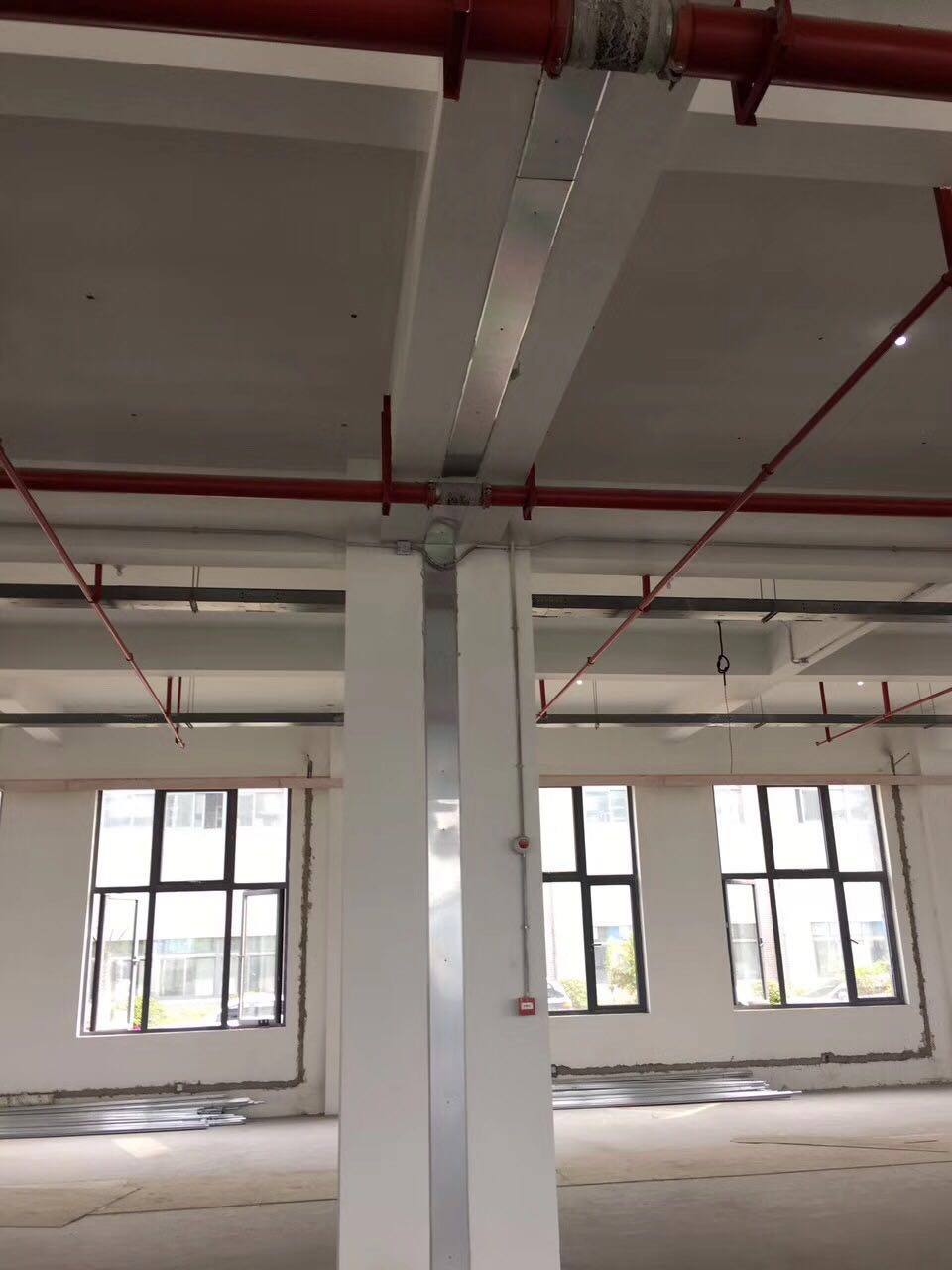 F(yng)pֱNJCDG͵׃οp