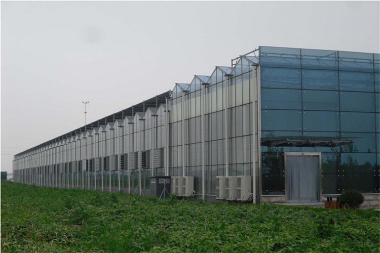 K yj(lu)ʽҴ O(sh)ļҺ