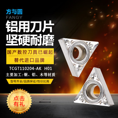 XõƬtcgt110204-ak h01صƬص߼ӹ~Xľl