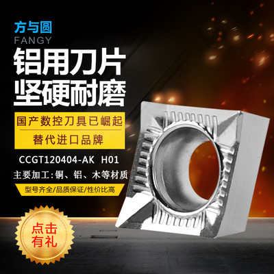 XõƬccgt120404-ak h01صƬصߔ܇㊙Cõ߃l