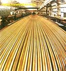 C41500aS~C41500r񌍻C41500|C