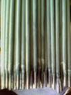 AA112P䓺lr(ji)/P䓺l̖(ho)/P䓺lS/P䓺l|(zh);