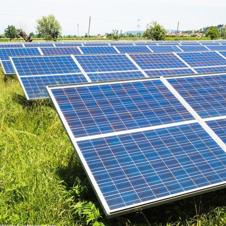 f ֹ ֹM жMSҸ߃r ؅^ MT؛