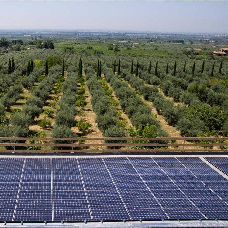 f늳Ƭ̫ܽMSһ | og |F(xin) | I(y)\ 񾧹Ƽ