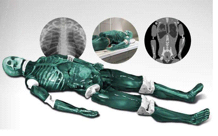 x侀CTMRIһȫ̌W(xu)ģw