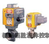 300SMA11-AA11-CC22A0yTaƷ