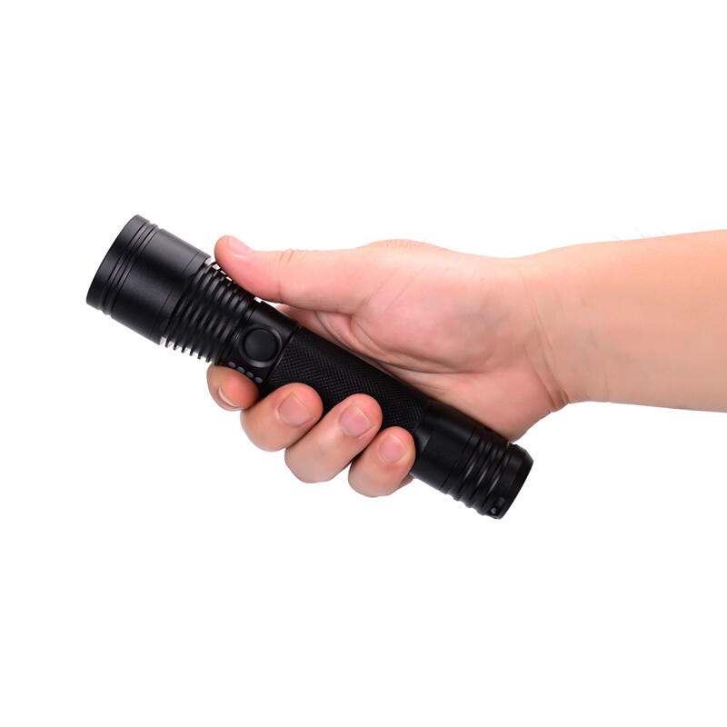 BAD202C๦׃ͲSW2104LEDyʽͲ