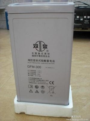 p늳GFM-300 2V300AH yʽ   rߴԔ