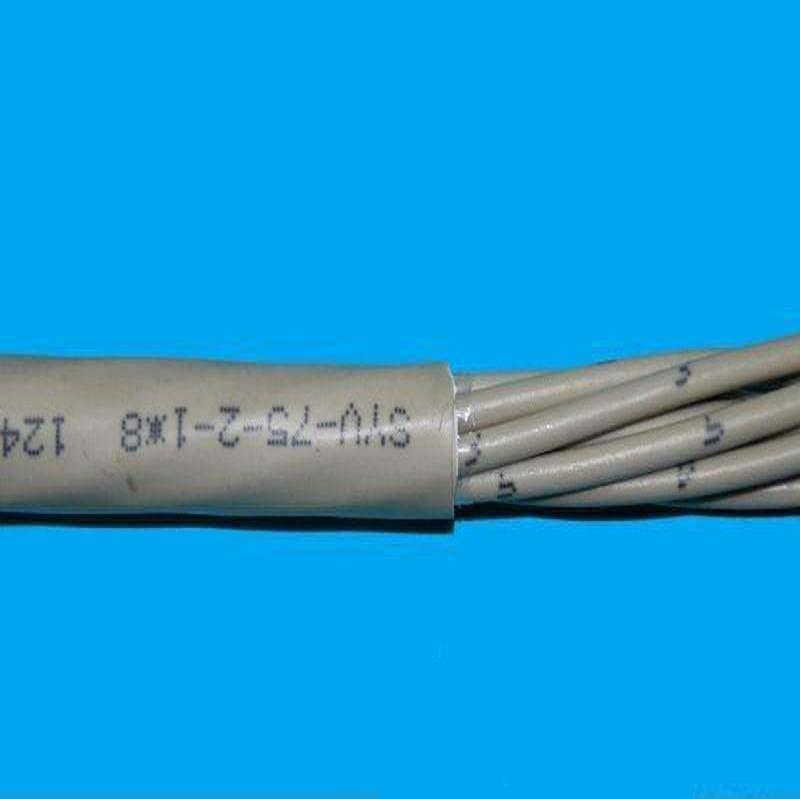 Pɽй¶|MSLYFVZ-50-9