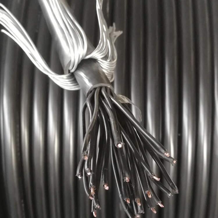 (bio)|12*0.5KVVP32䓽zzb|