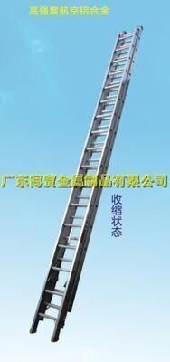 14XϽsݡǽ^ݡֶݡVݾW(wng)