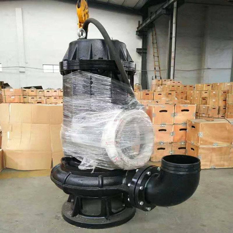 εh̝ˮ۱300WQ1000-25-110yʽ