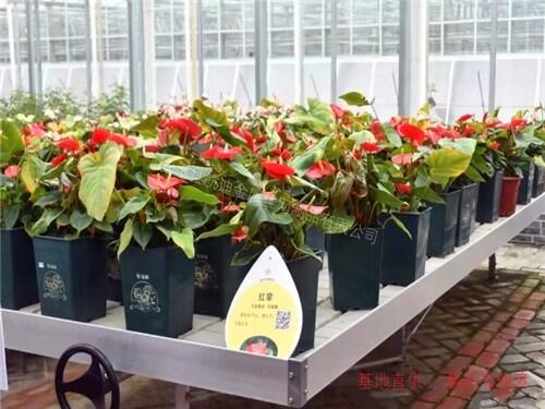 ϫʽƄ紲FrIOʩ׷Щcأ