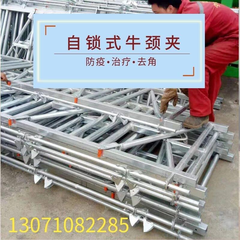 iʽţi SֱNţi \Ӻţi