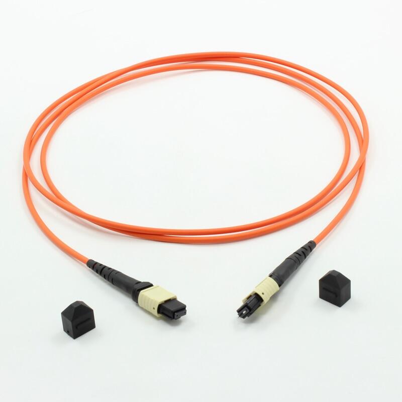 wMPO-MPO12оģOM4|w2