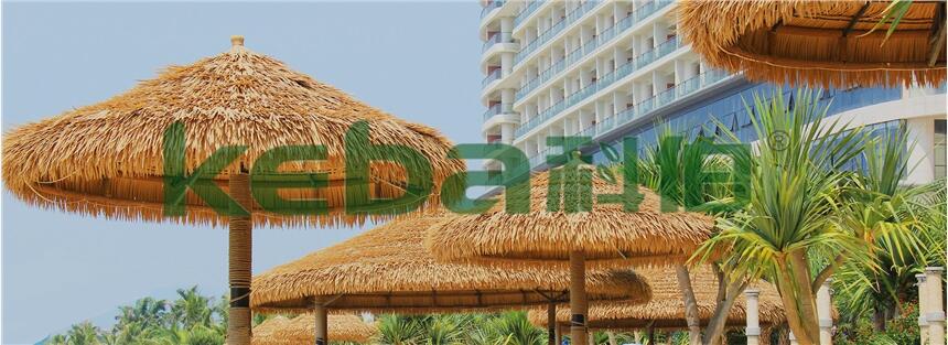 Sҹ(yng)é݂ ɳé eé ư۶ƏS