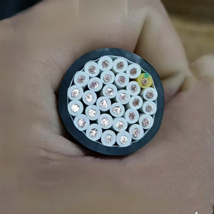 WD-MKYJYP2-23 úVõ͟ou|