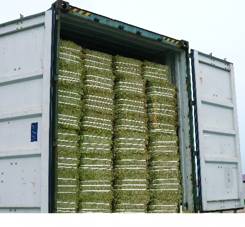 uMޣPr͸M˜ʟo[ԳɱMṩP