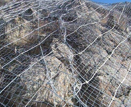 ݾ^ʯoWrĴܽͨzWSֱN̓rl