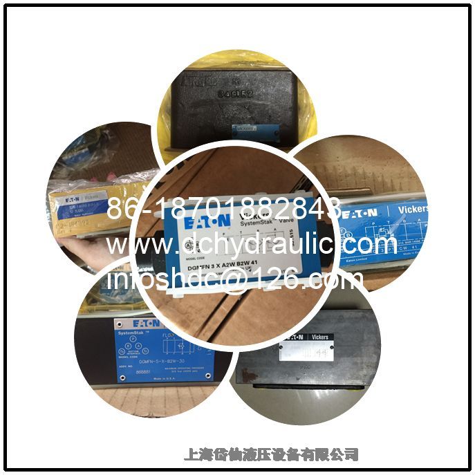 ʿPCG5V8AD1EMUA611 PCG5V8C1EMUB611 PCGV6A10