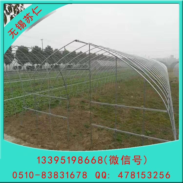 Ǽ䓹?_ӆ|(zh)õЧܿ