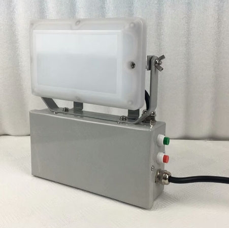 GDF8800-A-Y̑B(ti)So(h)픟2023Ѹ£/ԃ