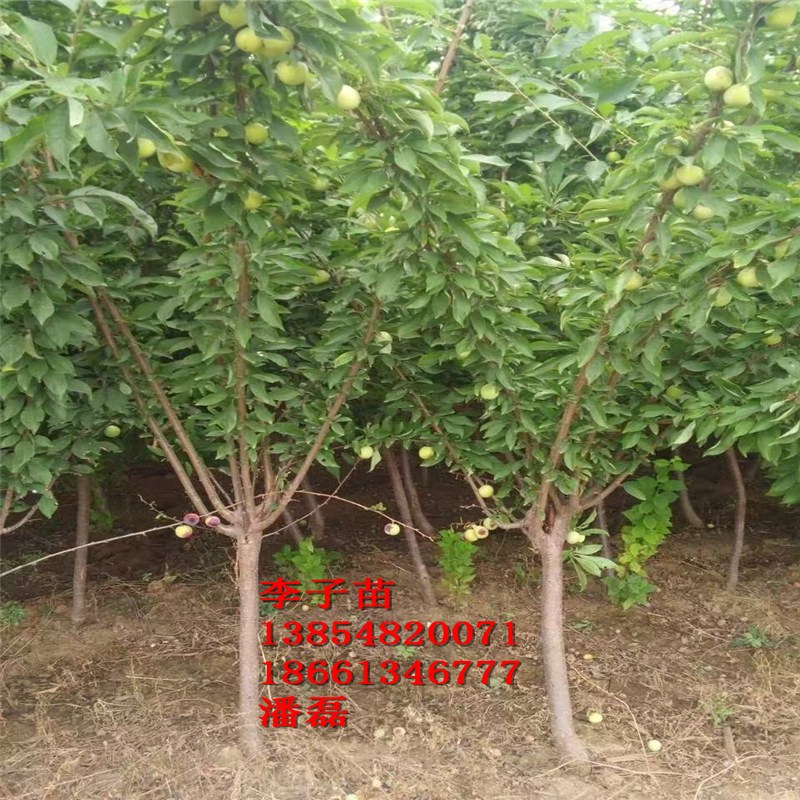 3Ә(sh)Xһá3ַӘ(sh)Xһá3ַӘ(sh)r(ji)