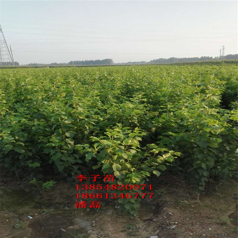 ۷Ә(sh)硢Ә(sh)(sh)r(ji)١Ә(sh)(sh)Xһ