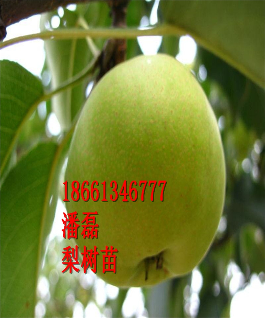 Kһ̖(ho)(sh)硢Kһ̖(ho)(sh)(sh)ƷNKһ̖(ho)(sh)r(ji)