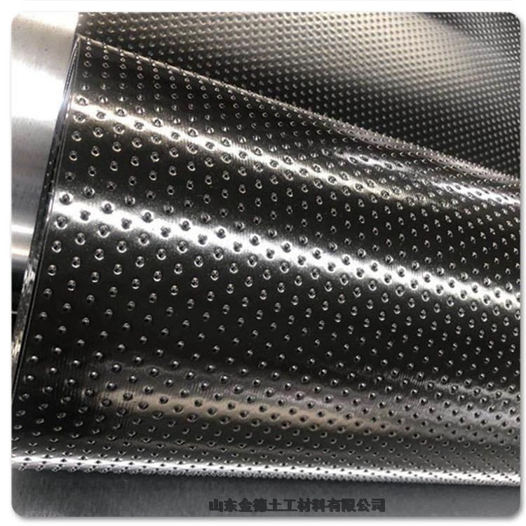 wܷԺùHDPEĤ1.0mm-Wطg