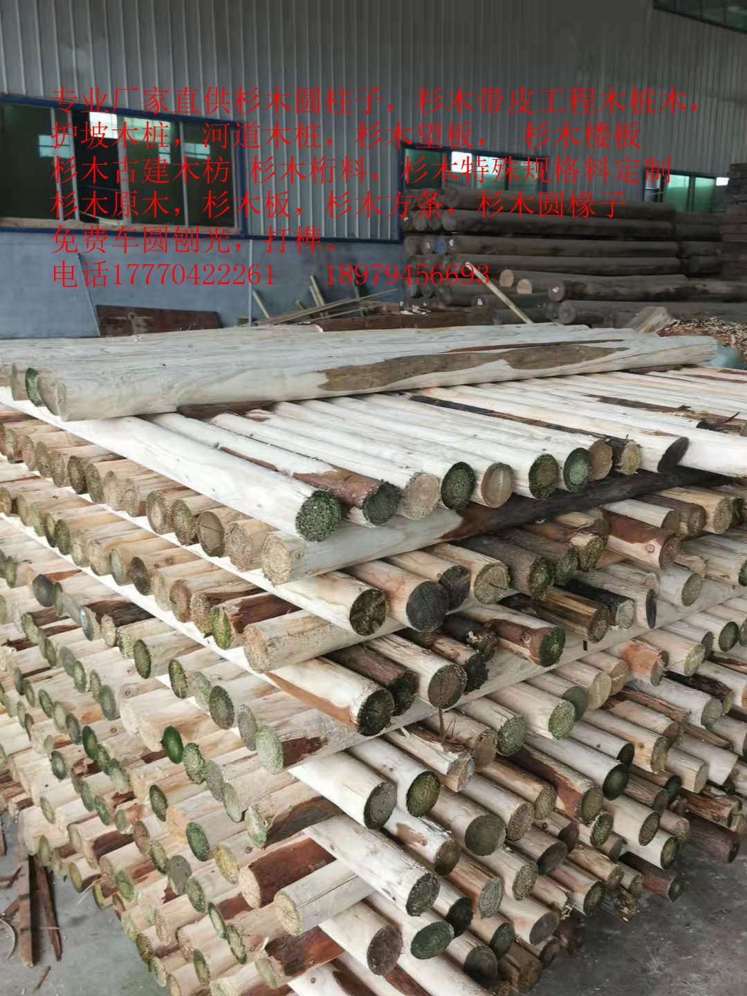 ISֱɼľƤľľoľӵľ