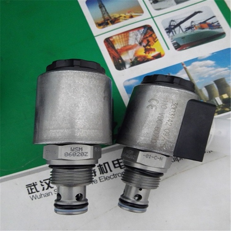 R¿HYDAC늴yWS08W-01M-C-V-24DG