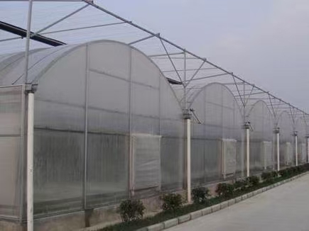 ߲ˆw \䓹Ҏ(gu)Rȫ Ǽܺ 