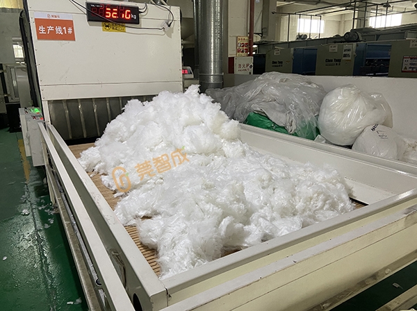 VݼҾȼ ȼ޷1633ȼҎ˜ MĘ