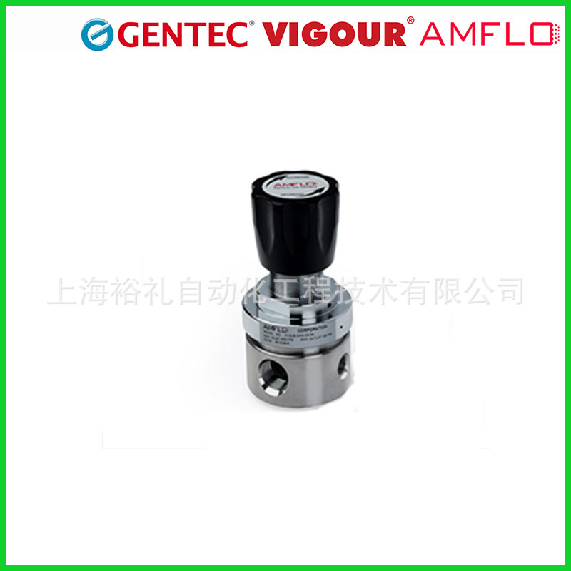 AMFLO/GENTEC߼ϵ316LwP䓜pyp{y