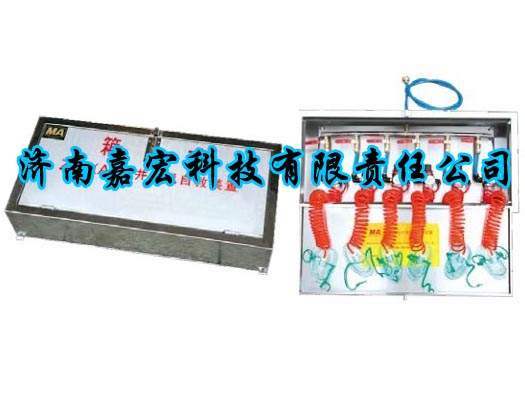 ZYJ-(A)L(fng)Ծb ʽL(fng)Ծb