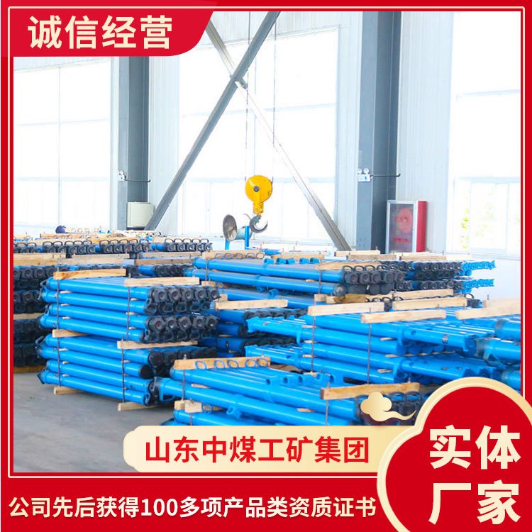 DW10-300\/100XwҺ֧(yng)w֧Һ֧N(xio)ۃr(ji)