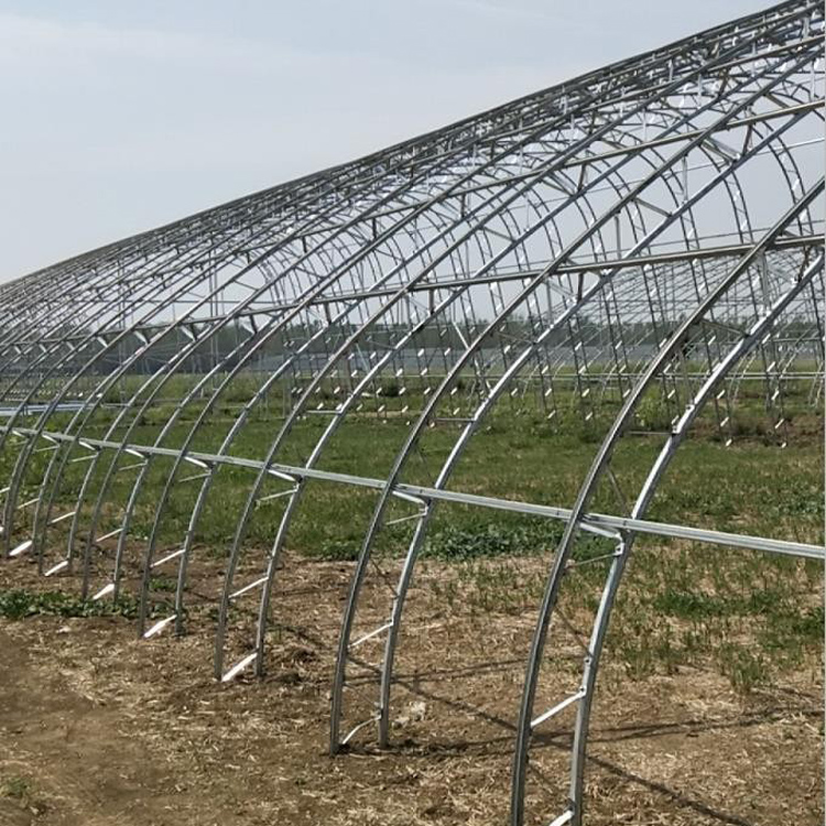 pҴ䓼ܟ\CpģǼж_aO